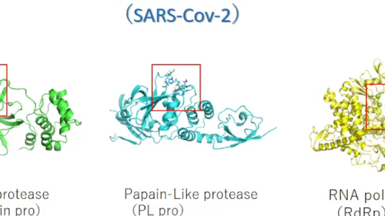 計算機解析によるSARS-CoV-2増殖阻害化合物の探索