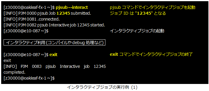 インタラクティブジョブの実行例(1)