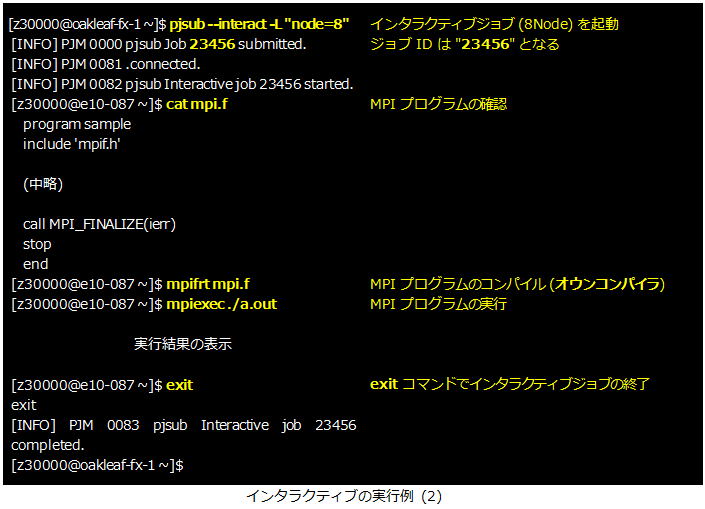 インタラクティブジョブの実行例(2)